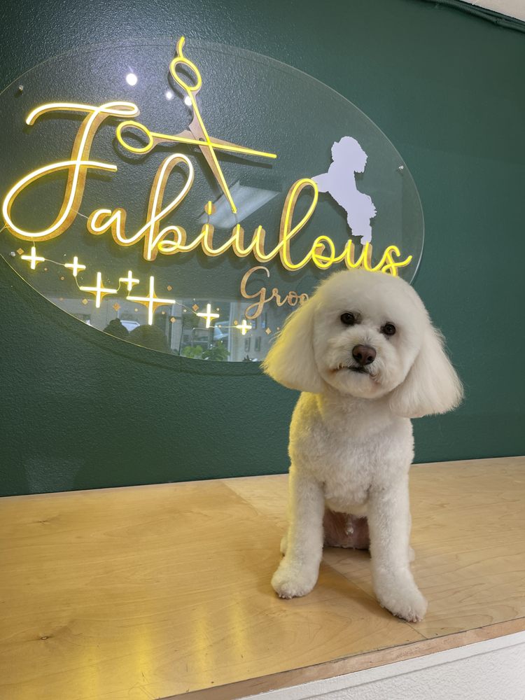 small white dog sitting by the Fabiulous Grooming sign